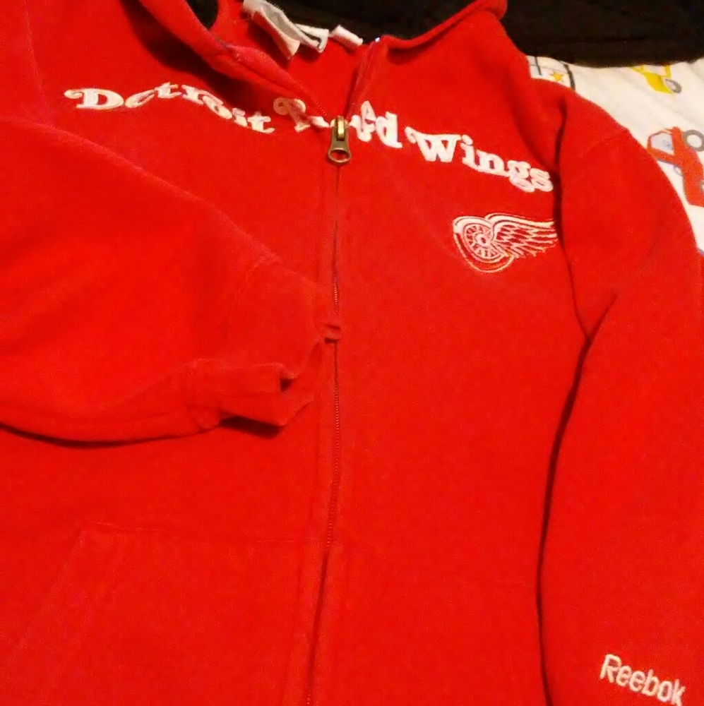 Boys Detroit Red Wing Hoodie
